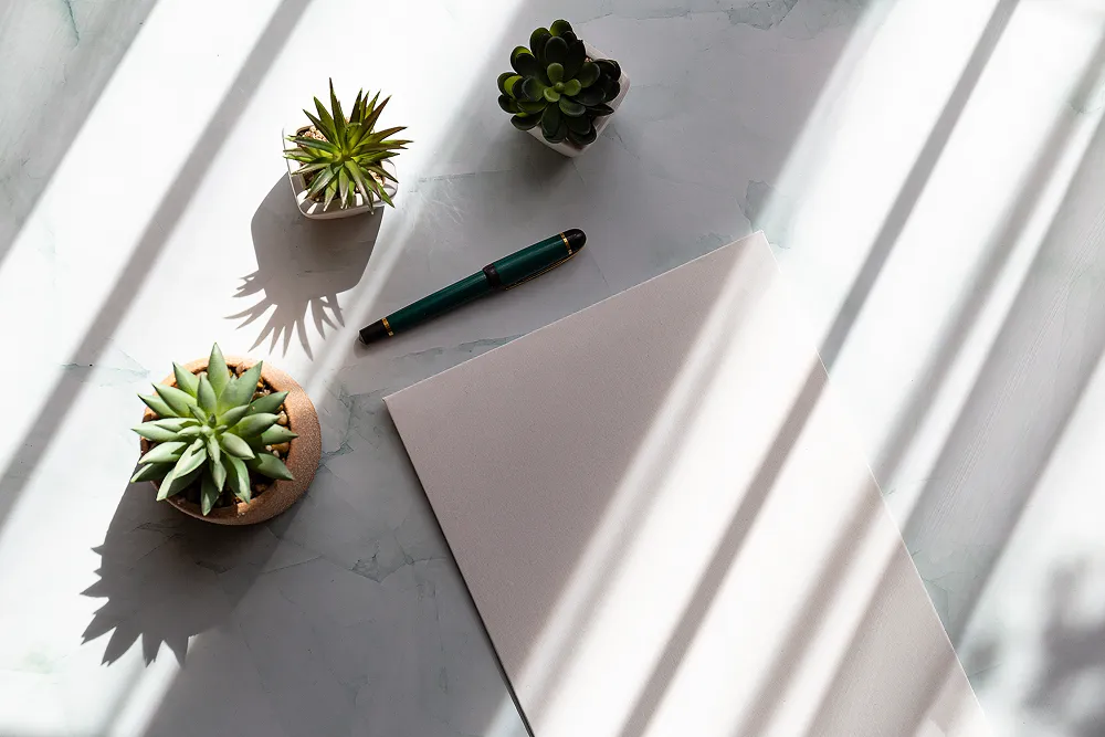 Blank notepad and pen on a desk with potted succulents